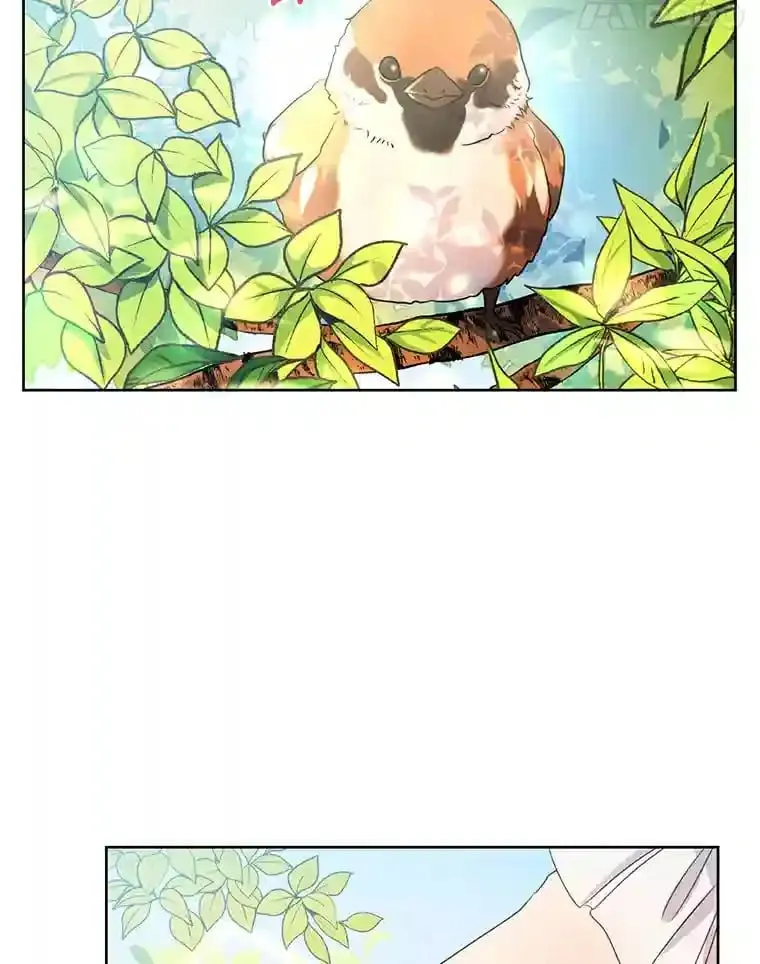 珍妮丝：贵族小姐的法则漫画,4.拭目以待吧5图