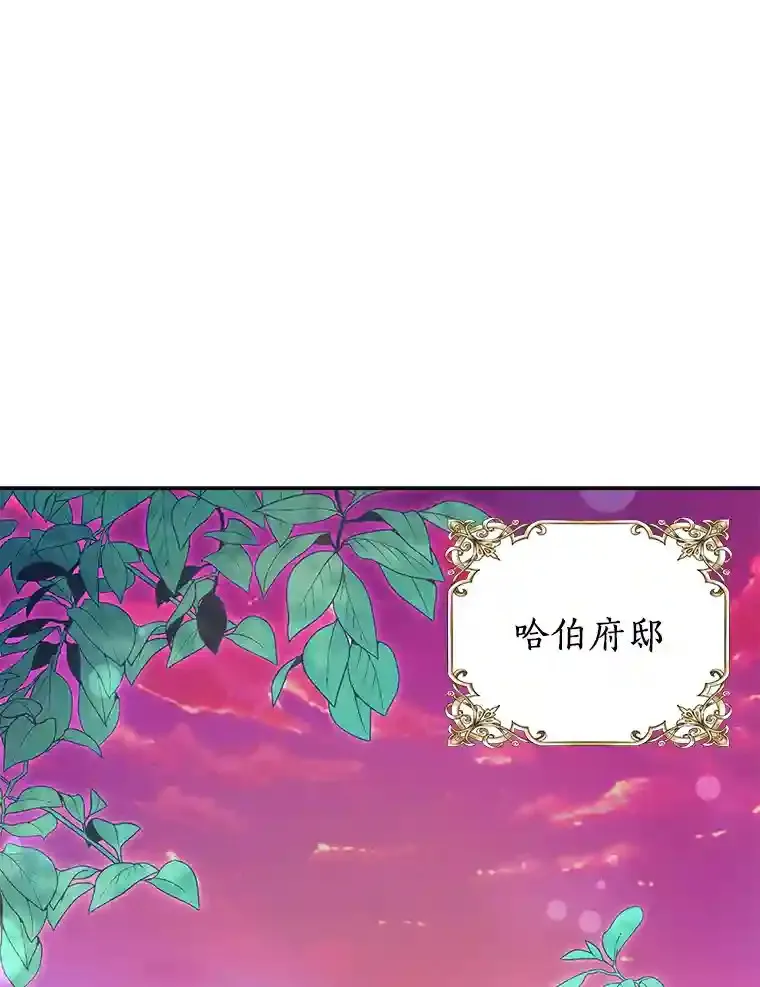 珍妮丝：贵族小姐的法则漫画,21.大哥的回信5图