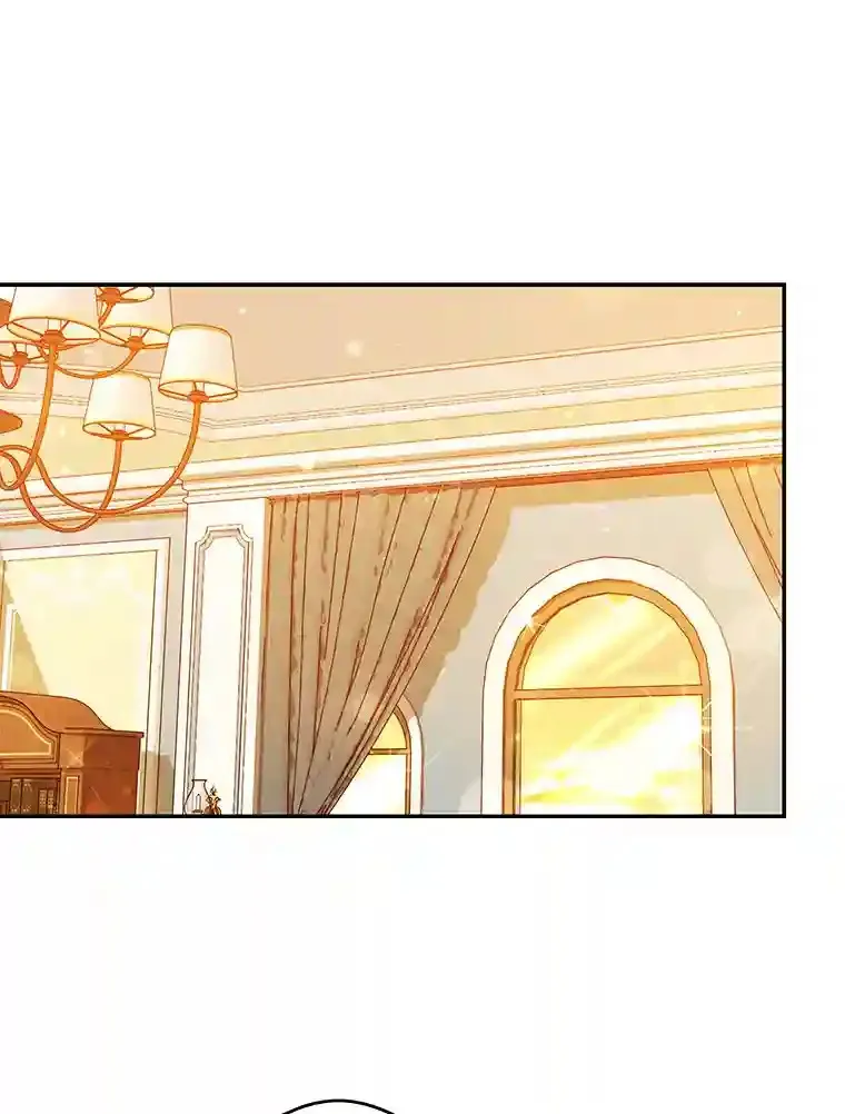 珍妮丝：贵族小姐的法则漫画,17.情报汇总1图