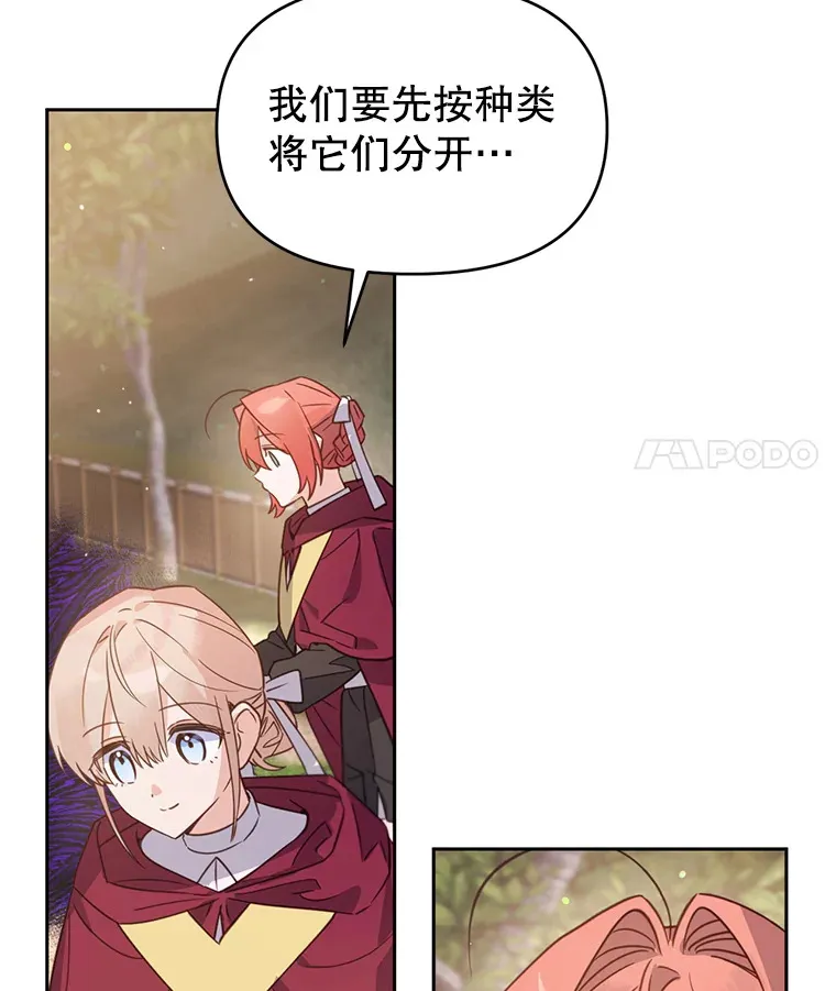 林德尔又出什么事了？漫画,46.两个神官长1图