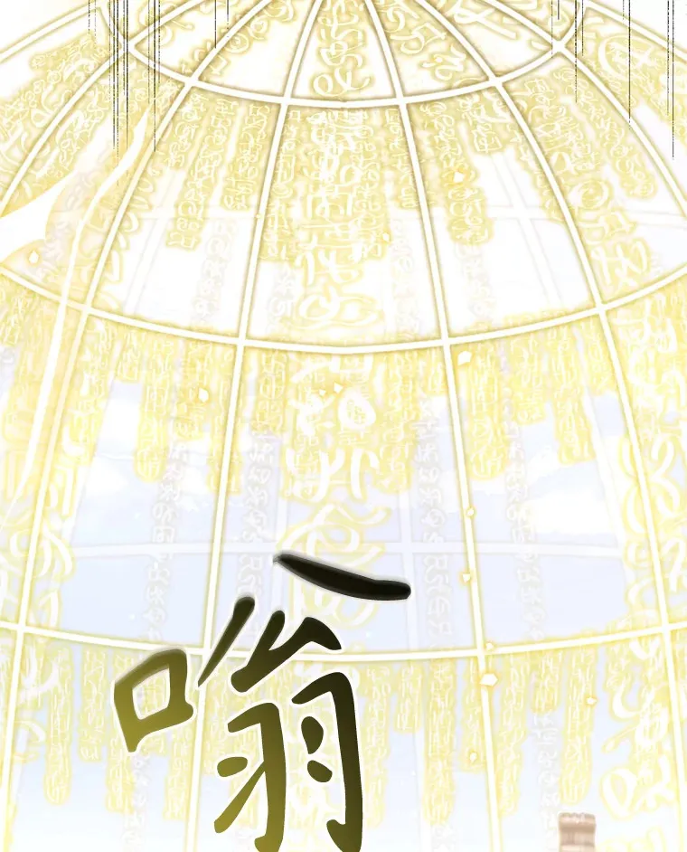 林德尔又出什么事了？漫画,43.启动结界3图