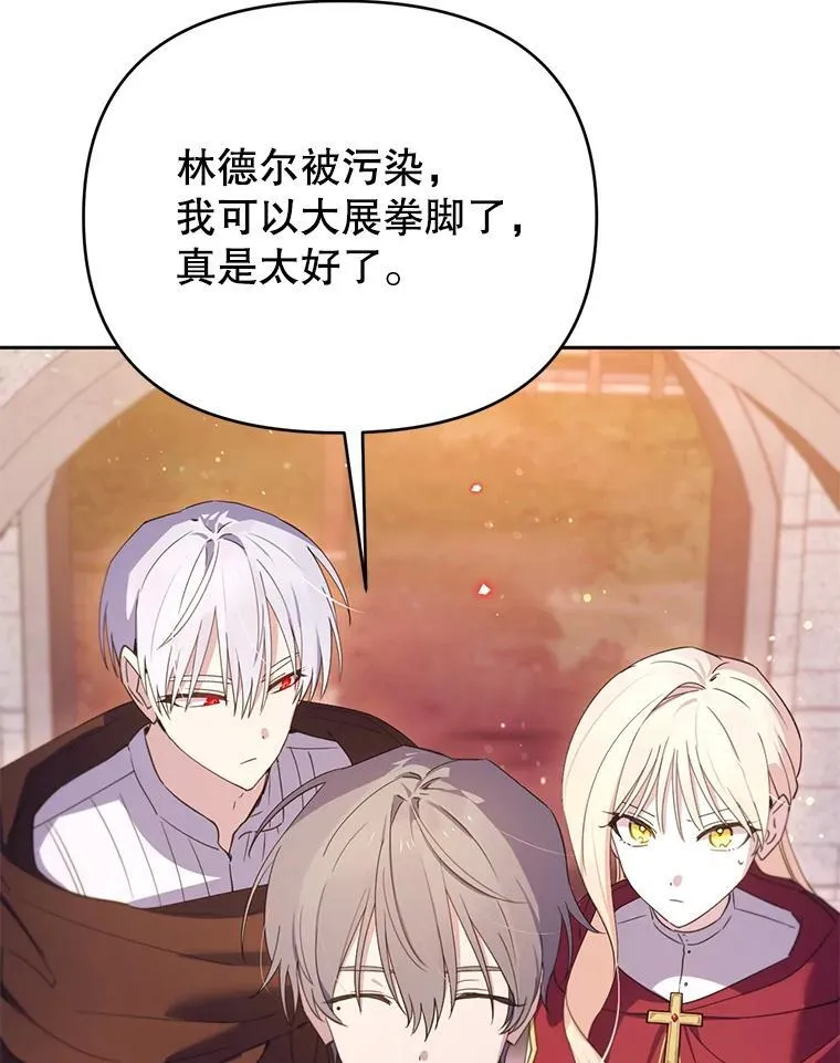 林德尔又出什么事了？漫画,70.烧毁手册3图