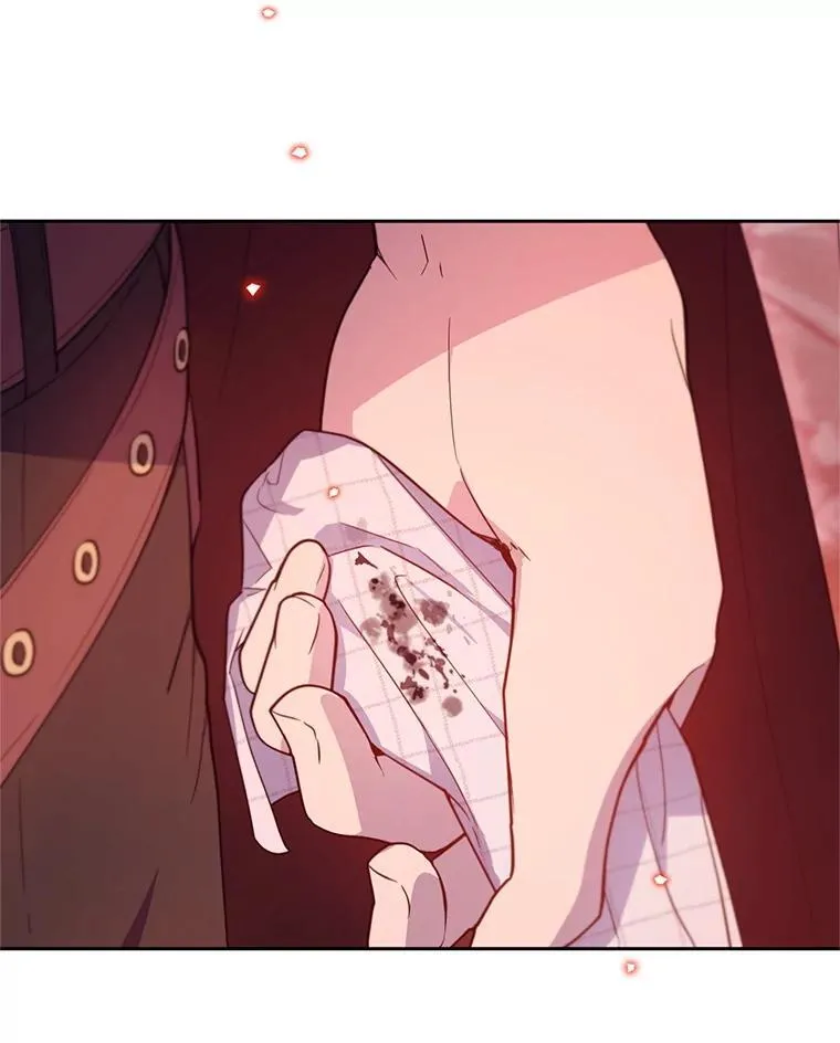 林德尔又出什么事了？漫画,65.艾米莉亚的报复3图