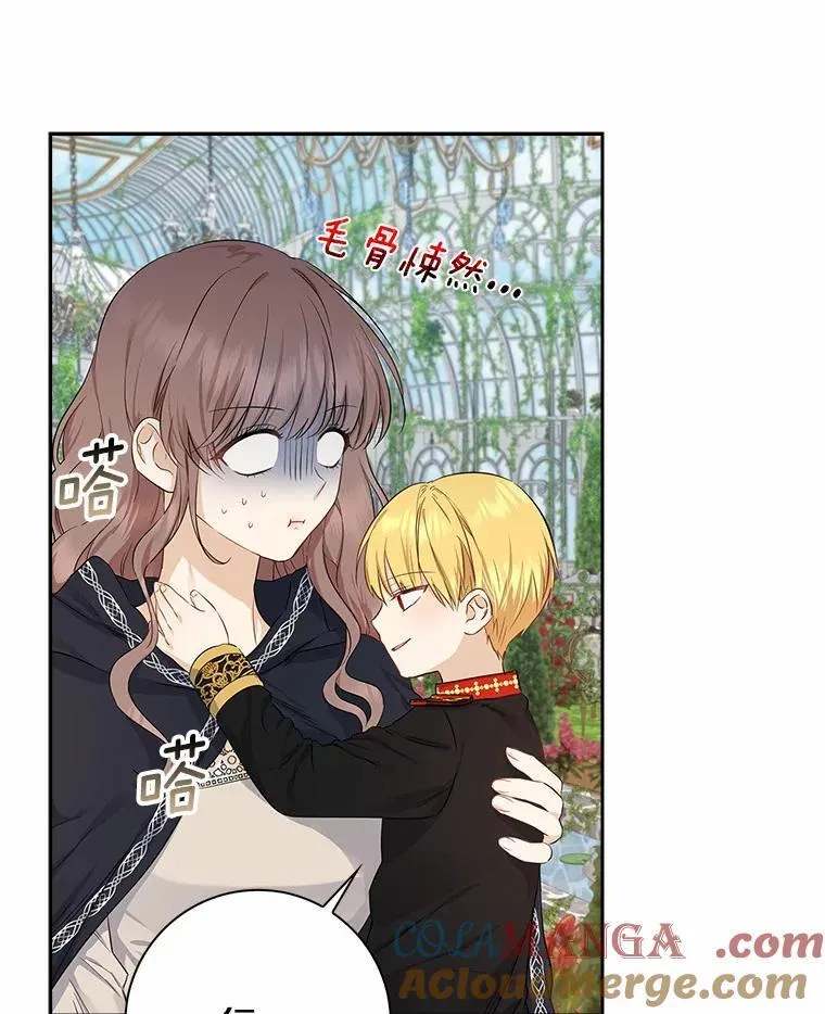 我的暴君变成小孩儿了漫画,4.私生子5图