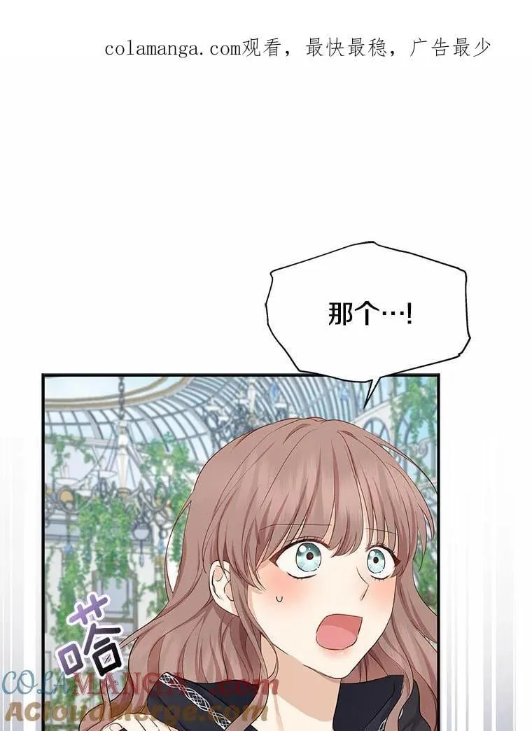 我的暴君变成小孩儿了漫画,4.私生子1图