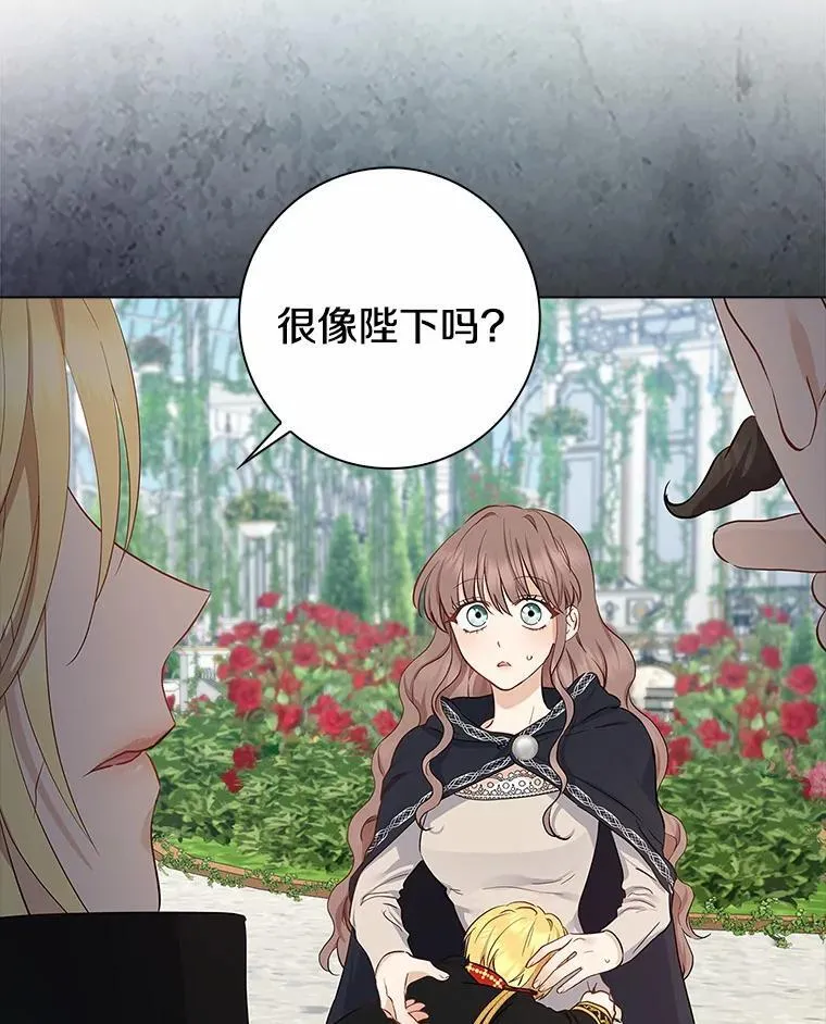 我的暴君变成小孩儿了漫画,4.私生子3图