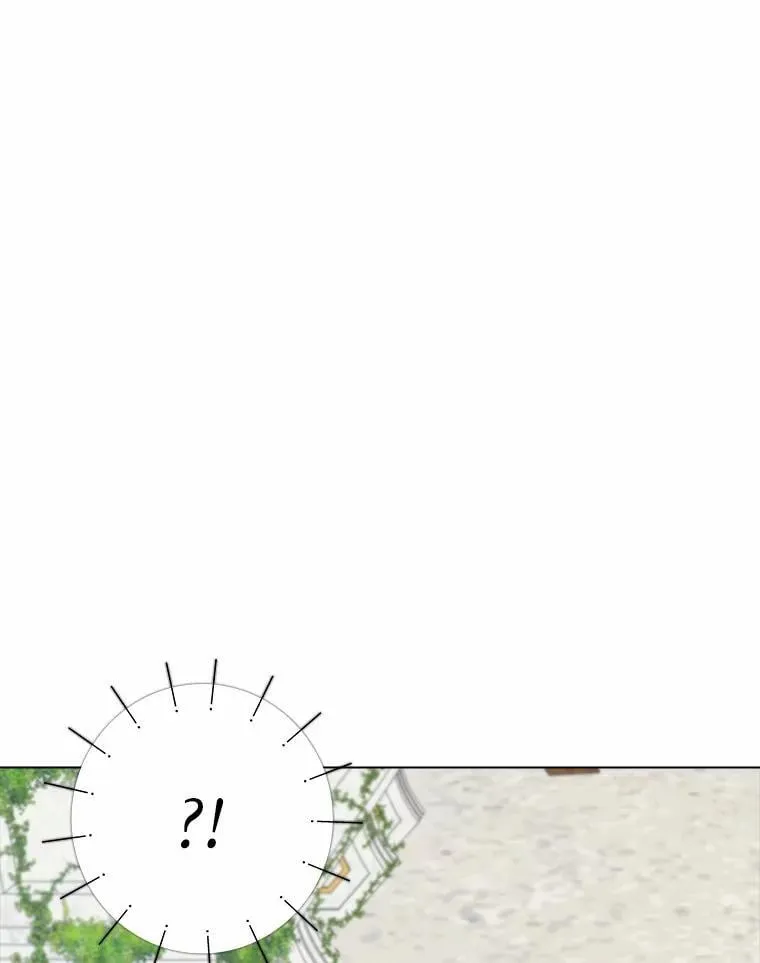 我的暴君变成小孩儿了漫画,4.私生子3图