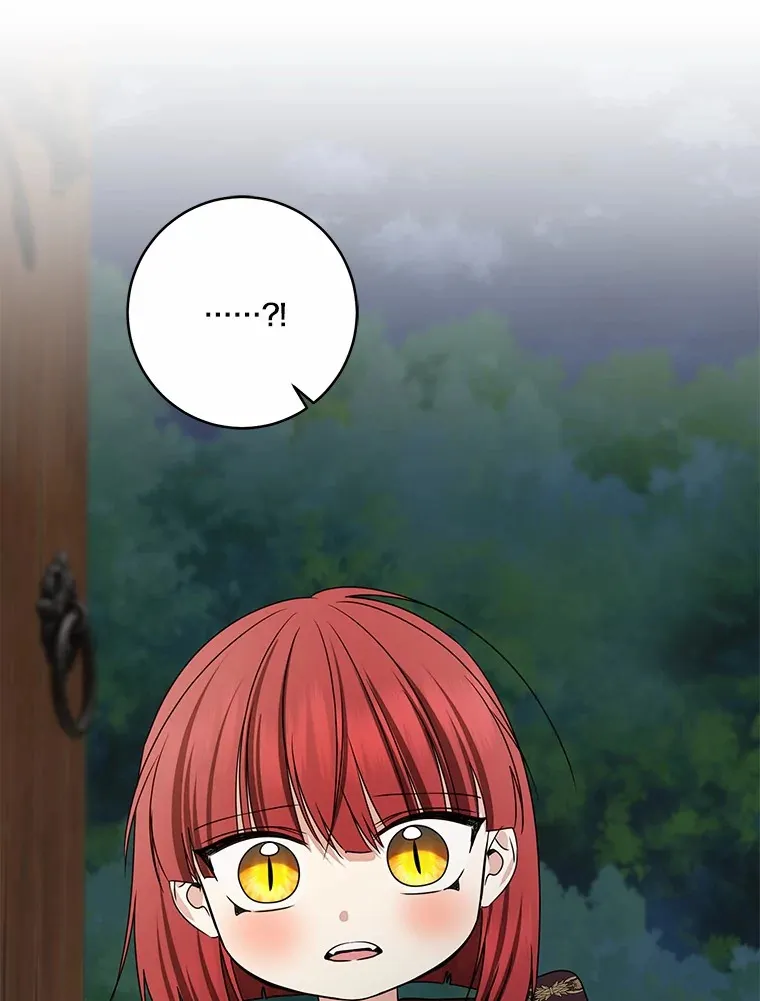 我的暴君变成小孩儿了漫画,74.诅咒解除2图