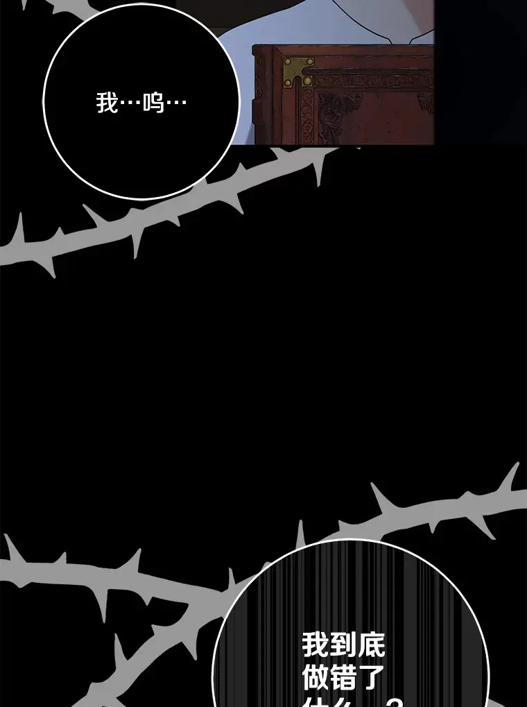 我的暴君变成小孩儿了漫画,58.关于母亲的回忆1图