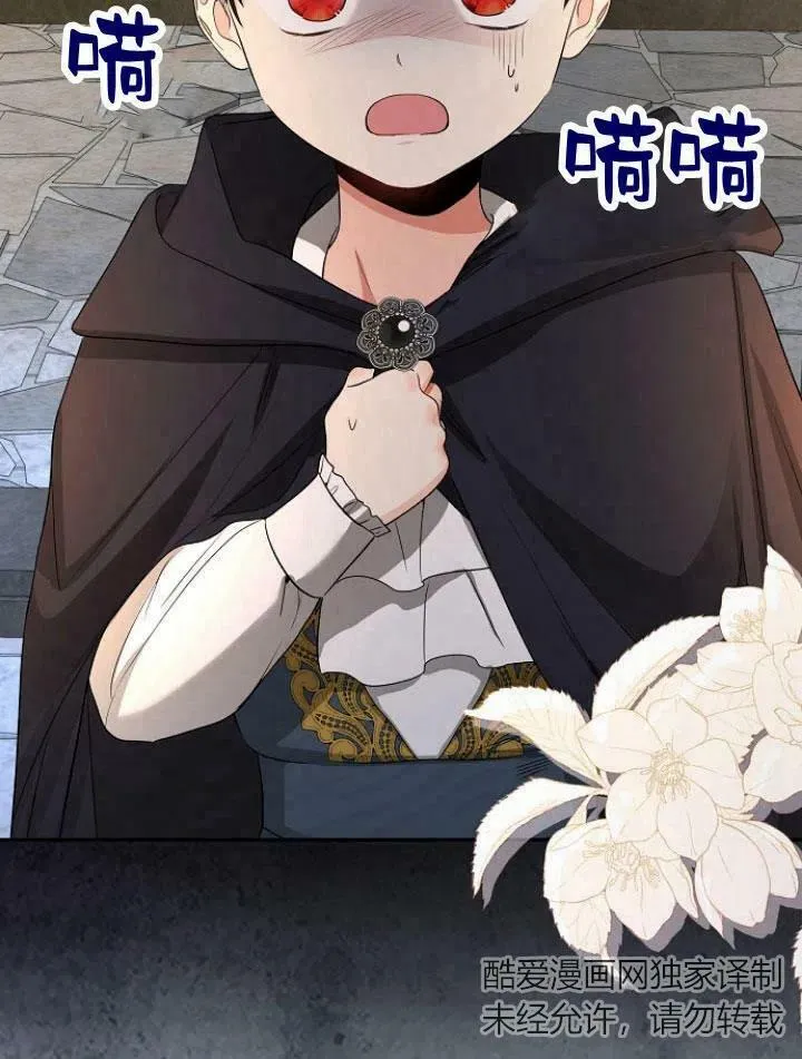 我的暴君变成小孩儿了漫画,第22话3图