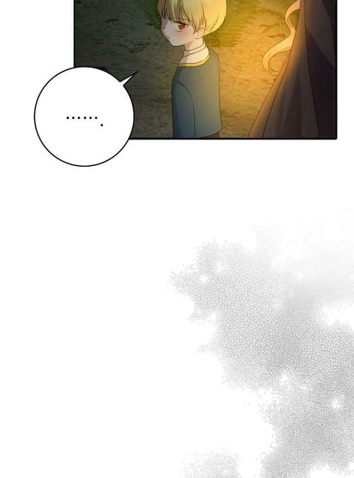 我的暴君变成小孩儿了漫画,第25话3图