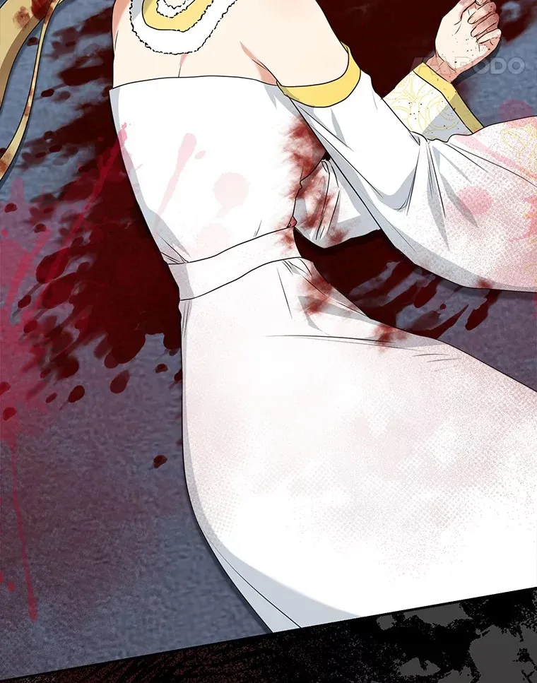 我的暴君变成小孩儿了漫画,69.休艾娜的选择5图