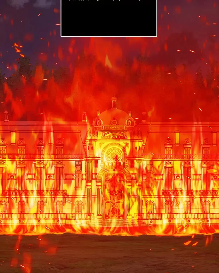 我的暴君变成小孩儿了漫画,60.登上皇位3图