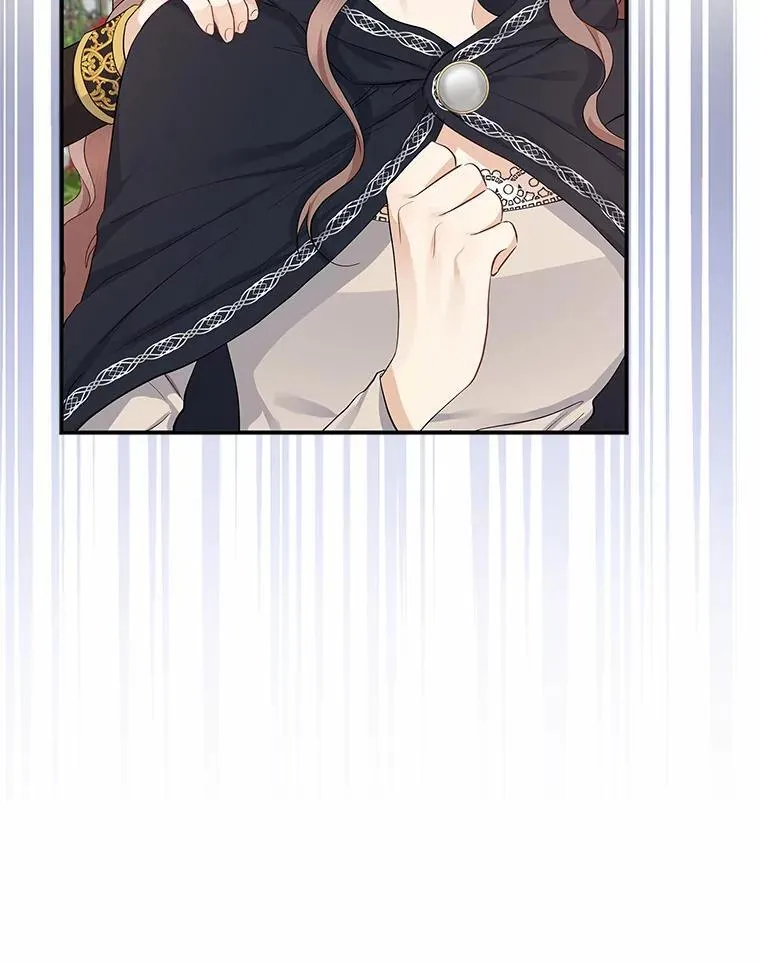 我的暴君变成小孩儿了漫画,4.私生子2图