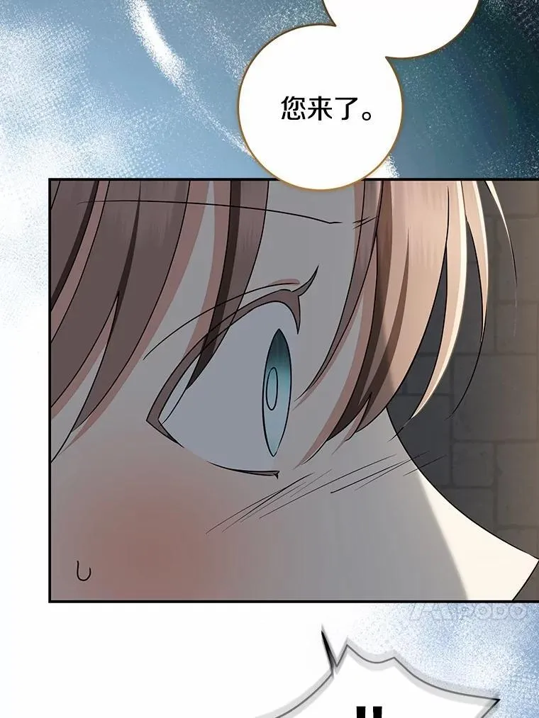 我的暴君变成小孩儿了漫画,81.真正的实权者4图