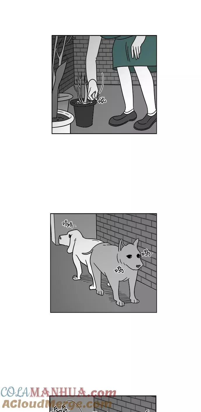 假面女郎漫画,[第3部] 第8话 美貌和艺春1图