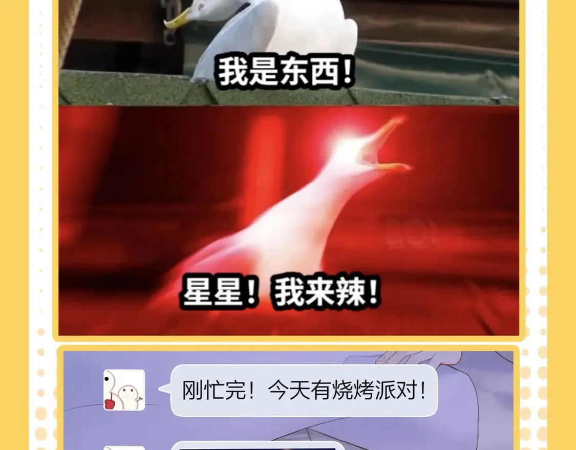 第38期 特别企划：一波梗图来袭！3