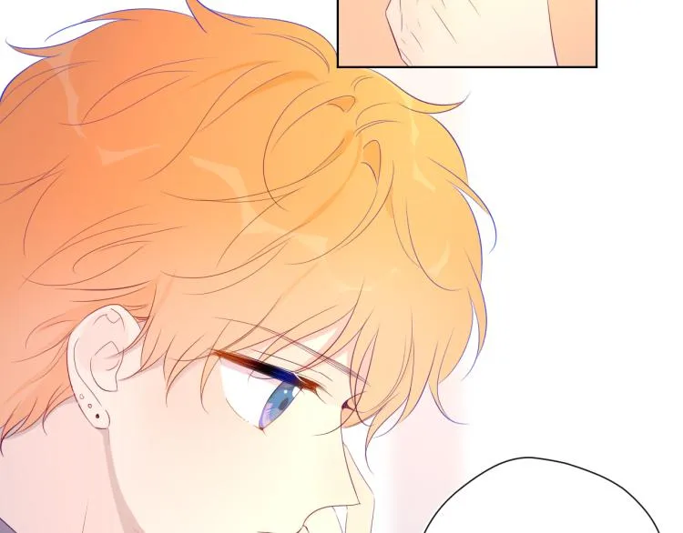 第52话 我们的森林4