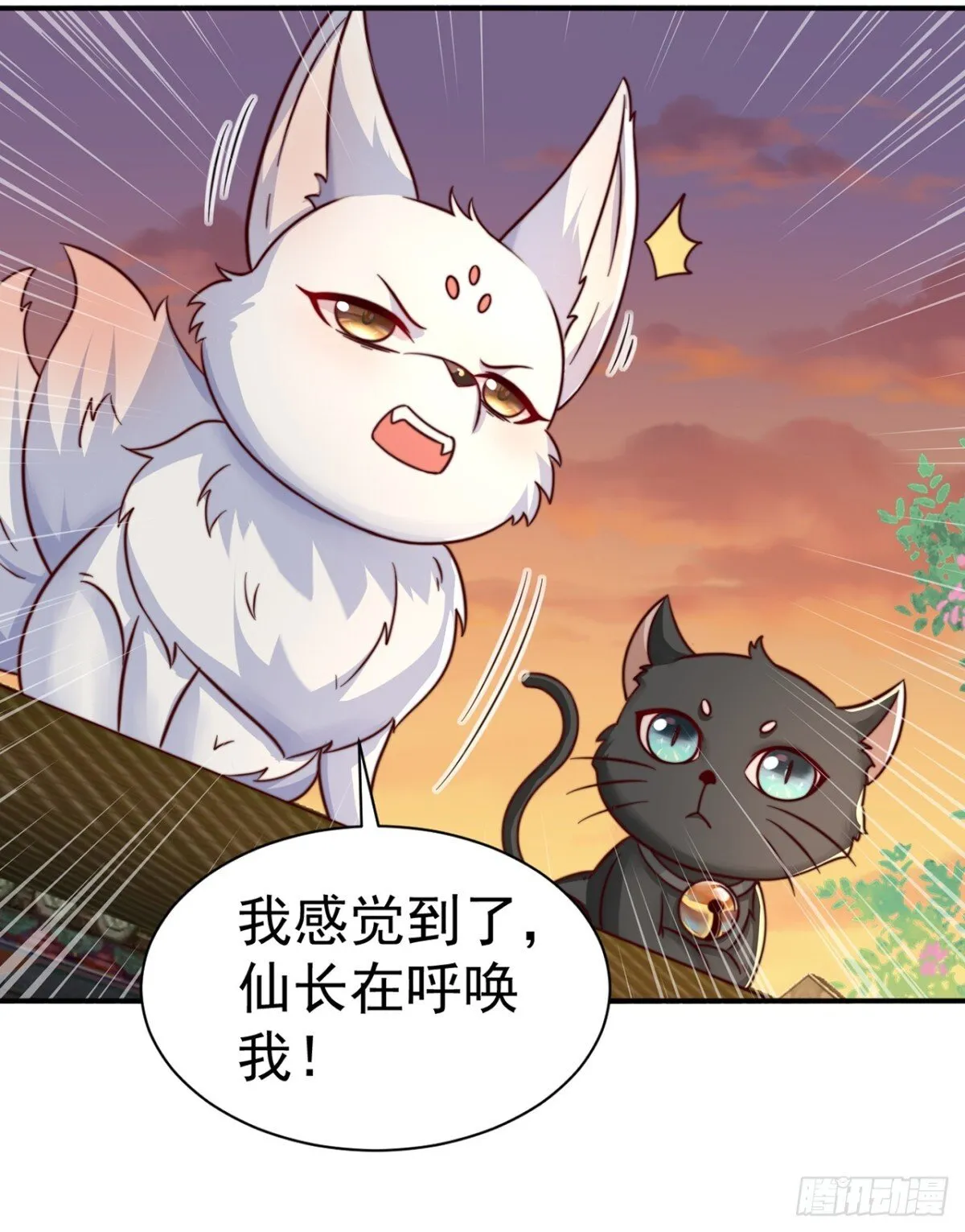 我真没想当神仙漫画,第83话 强龙压不住地头蛇2图