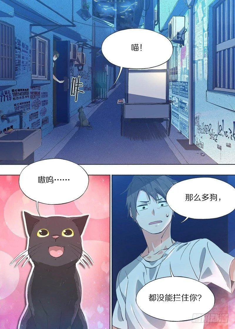 我的铁线莲原版漫画,6.我养猫了！4图
