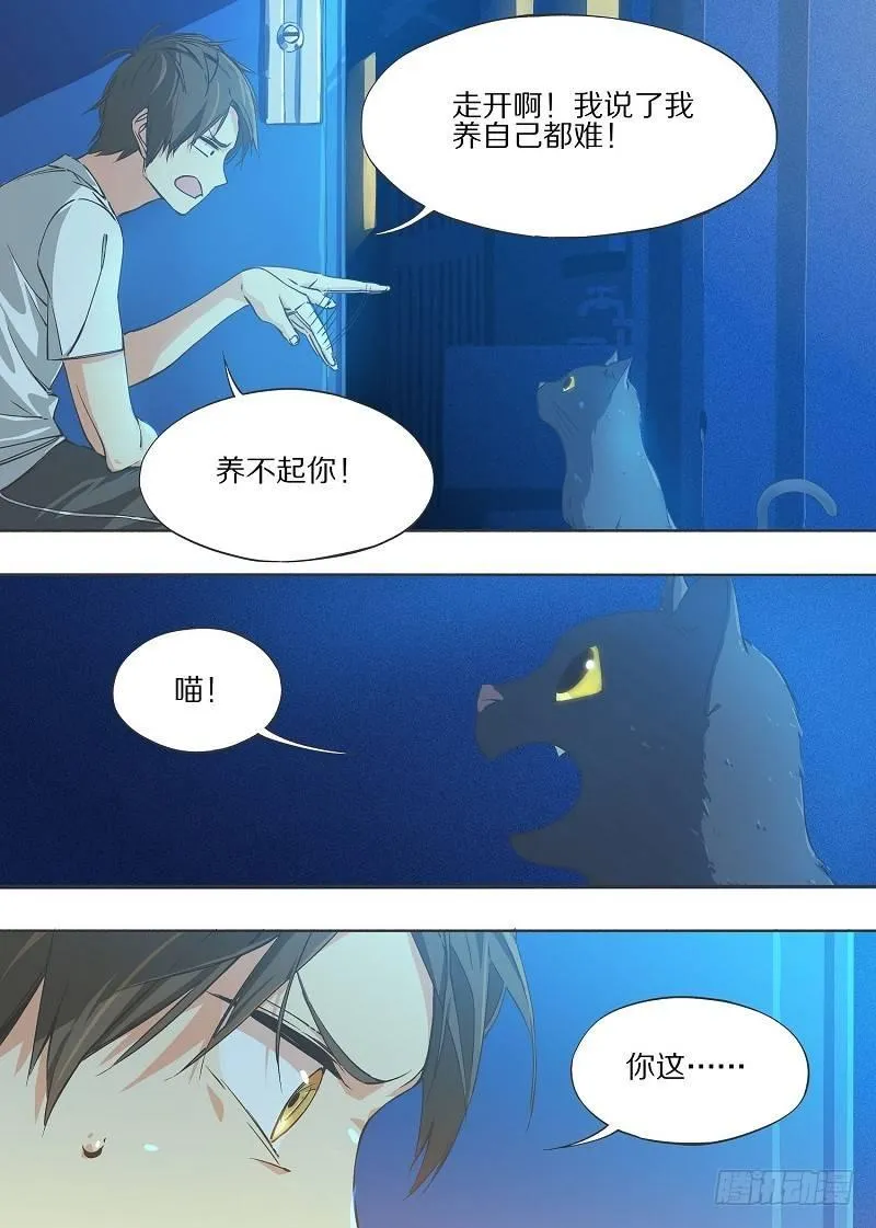 我的铁线莲原版漫画,6.我养猫了！5图