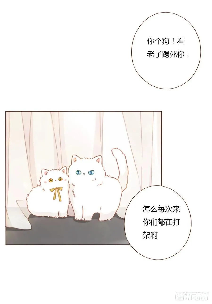 拥然入怀漫画,一三二章 小雪宝4图