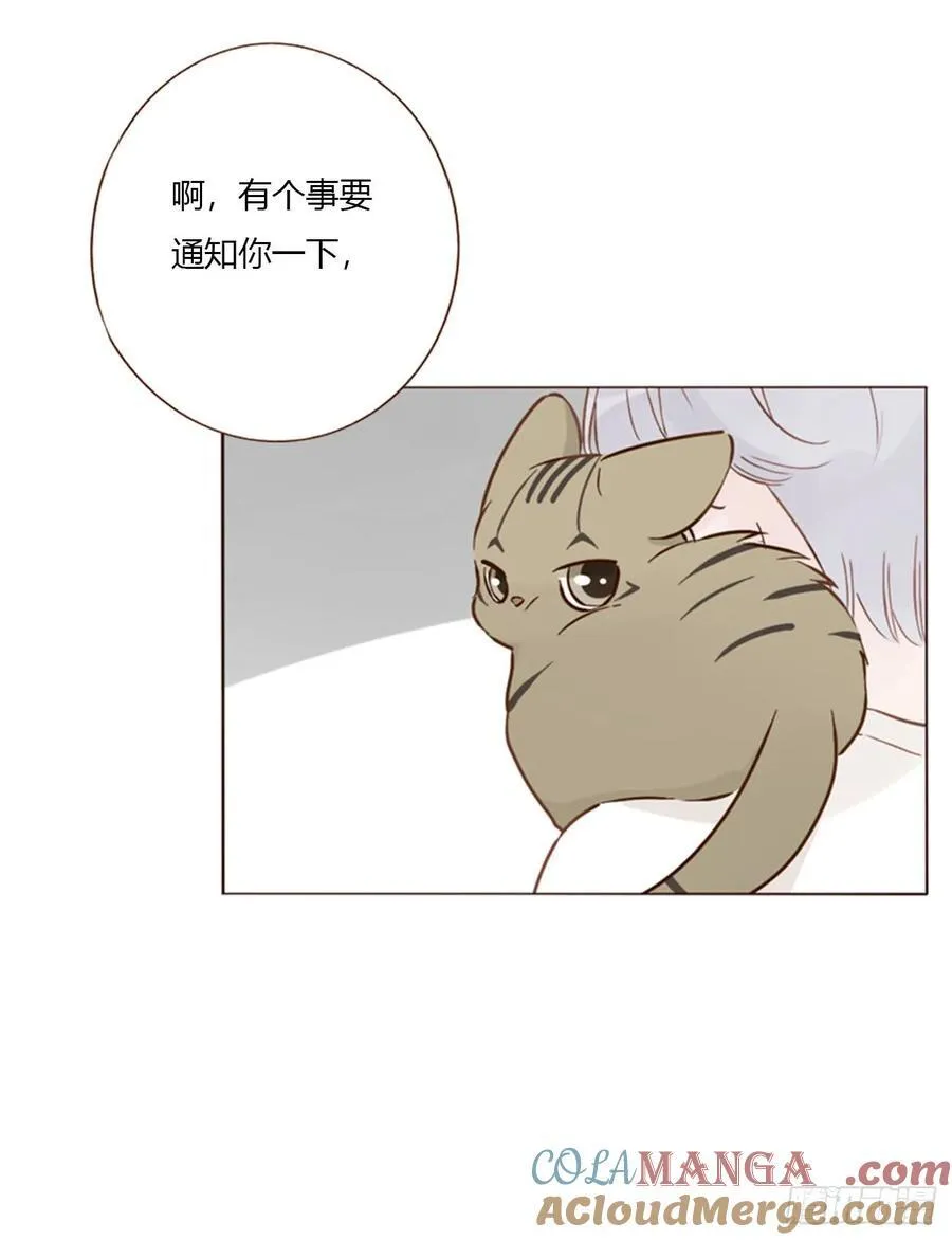 拥然入怀漫画,一六零章 奇怪的男孩1图