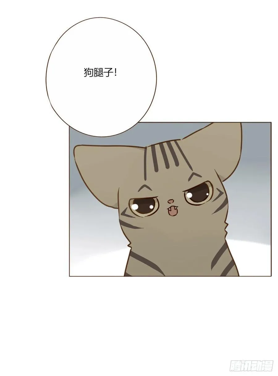 拥然入怀漫画,一六三章 轻松的一天4图