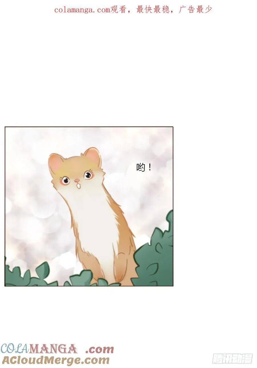 拥然入怀漫画,一四一章 叶梓1图