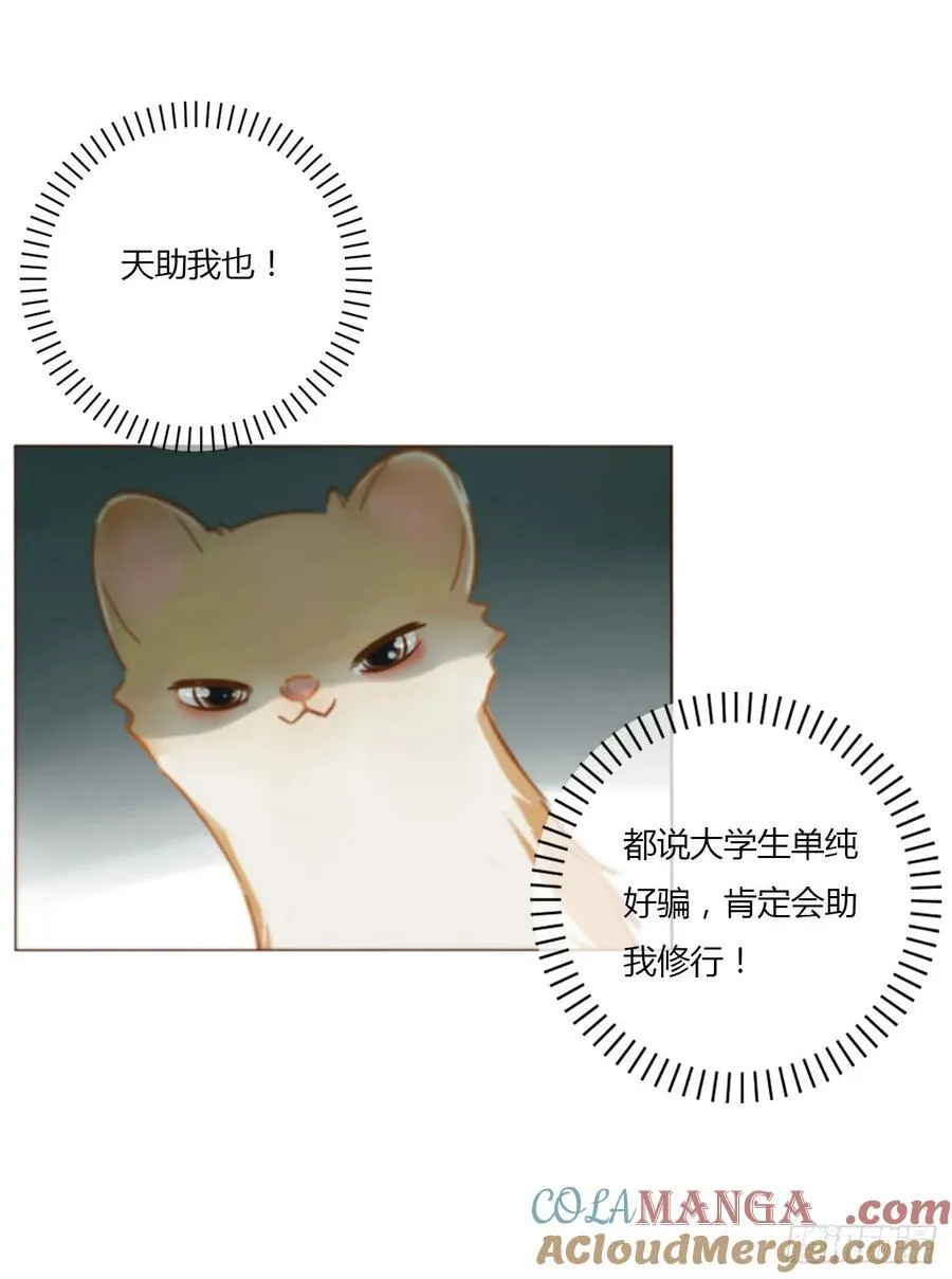 拥然入怀漫画,一四一章 叶梓3图