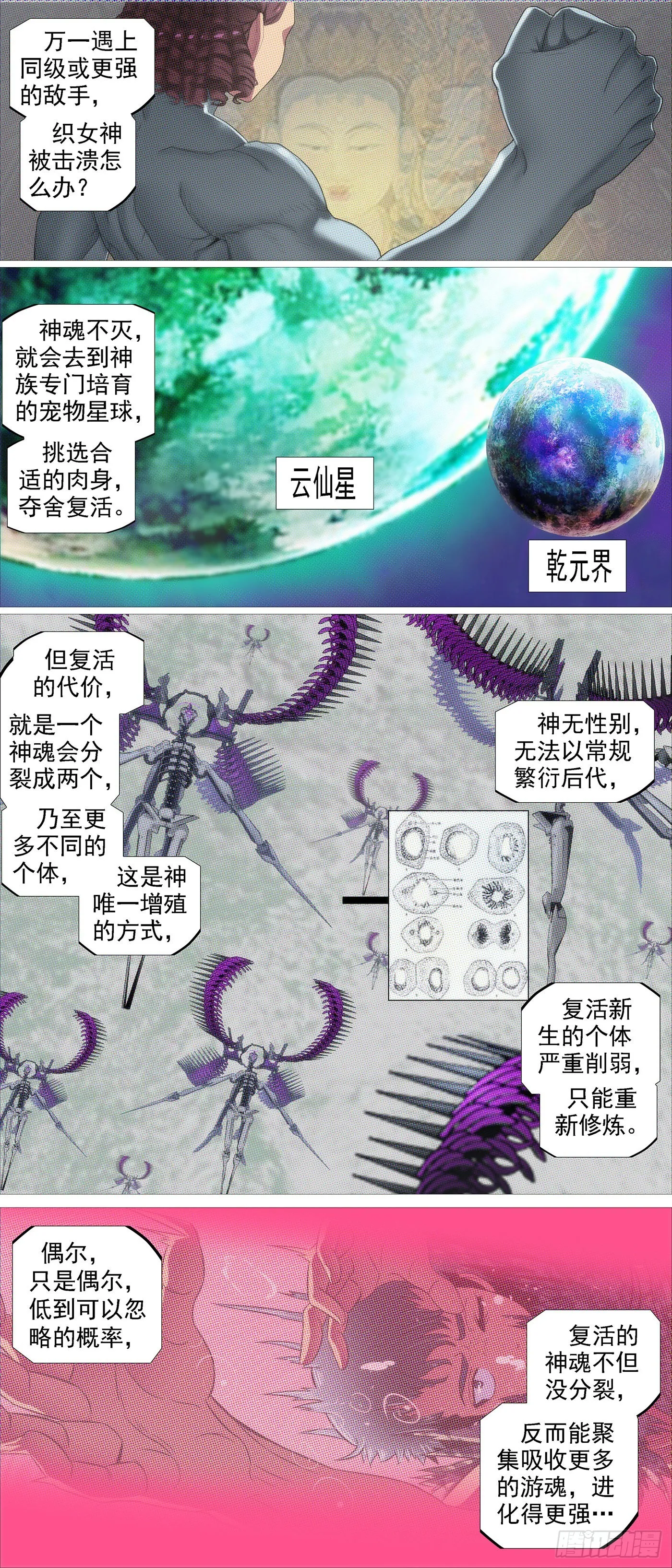 铁姬钢兵在线观看免费漫画,魂级由来2图