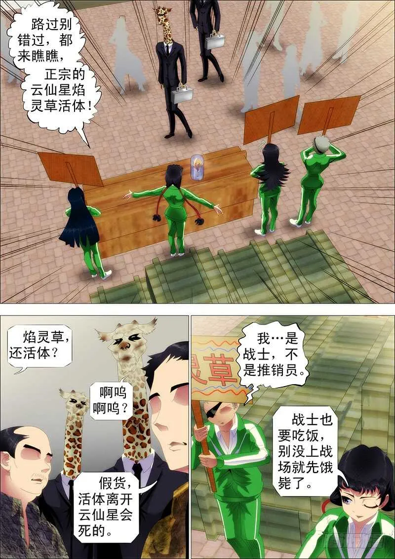 铁姬钢兵在线观看免费漫画,掉毛金乌不如鸡1图