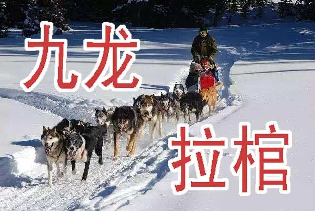 铁姬钢兵免费版下拉式漫画,周五六七连更4图