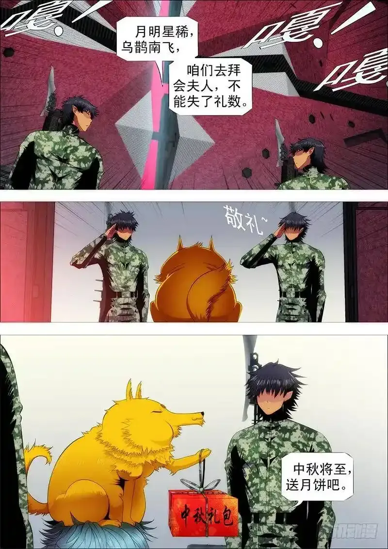 铁姬钢兵在线观看免费漫画,血翼渡星河2图