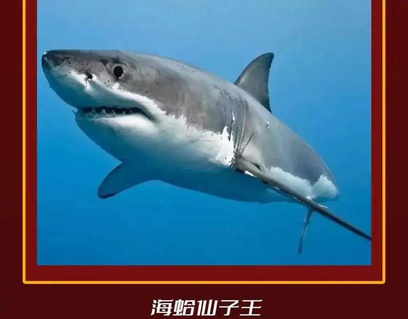 第23期 整活企划：圣墟中兽王，原型长这样？4