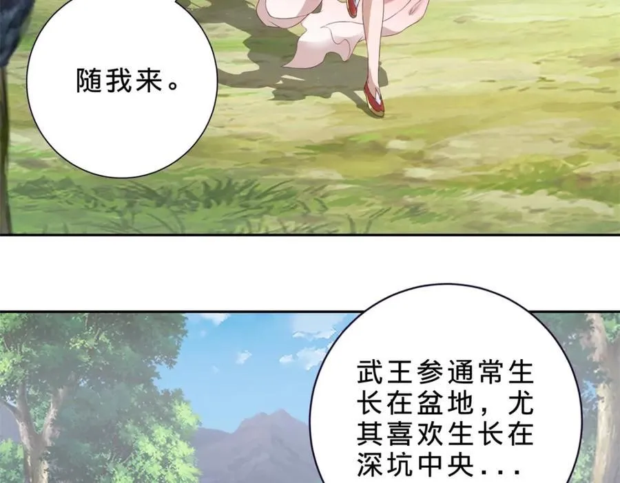 神魂武帝漫画,第373话 武王参只有两株5图