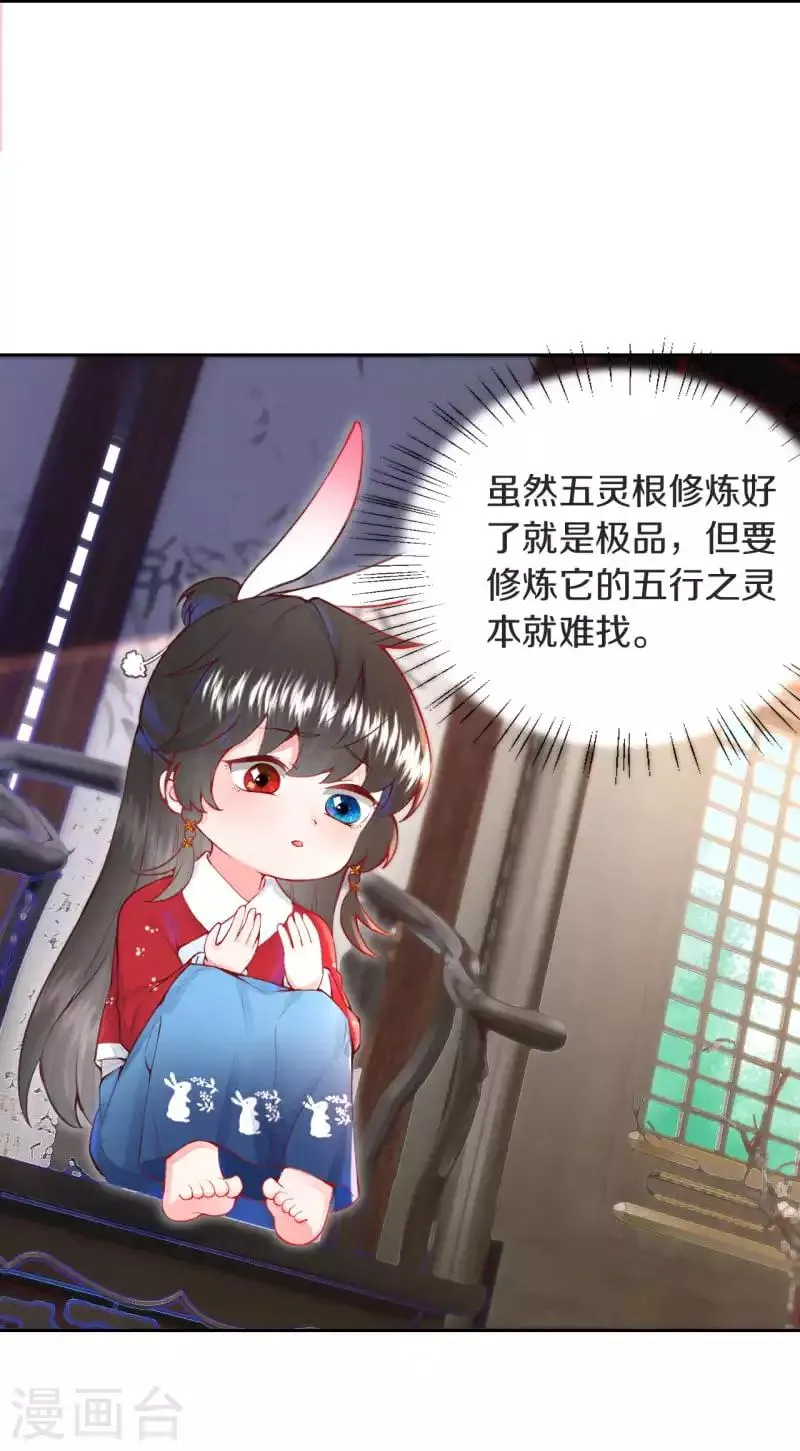 皇家媳妇的生存手册漫画,第1话 开局就是地狱模式？！3图