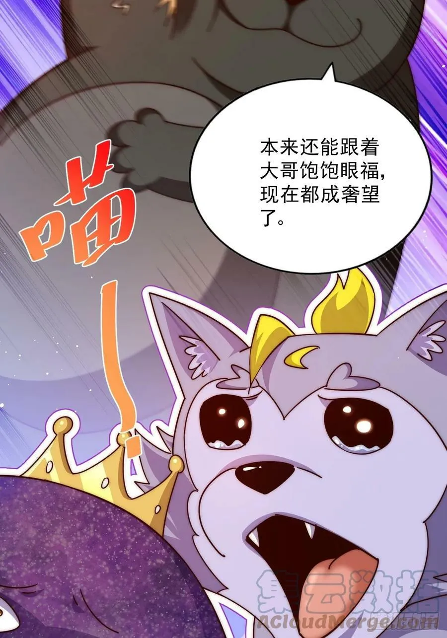 万人之上漫画,第203话 离开暗影岛4图