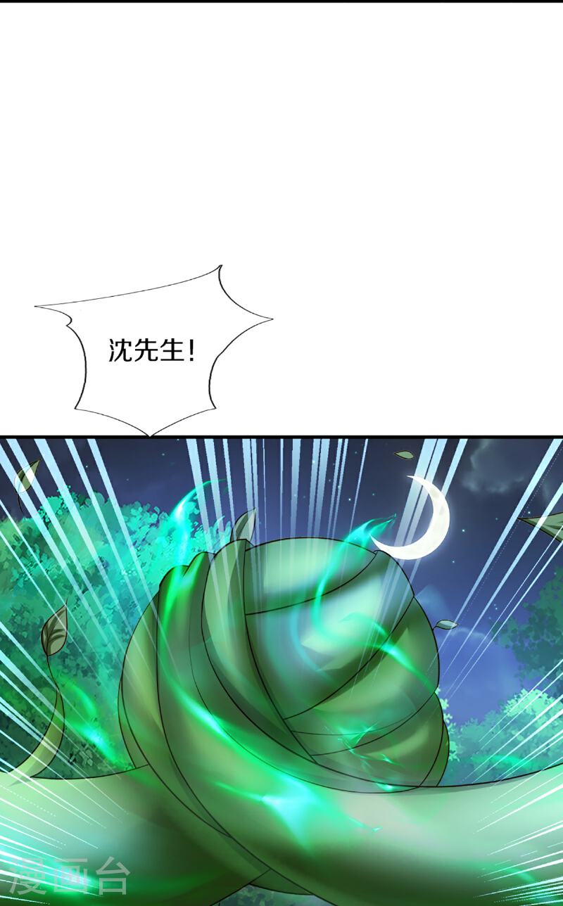 仙尊奶爸当赘婿漫画,第367话 万雷剑法，毫无作用4图