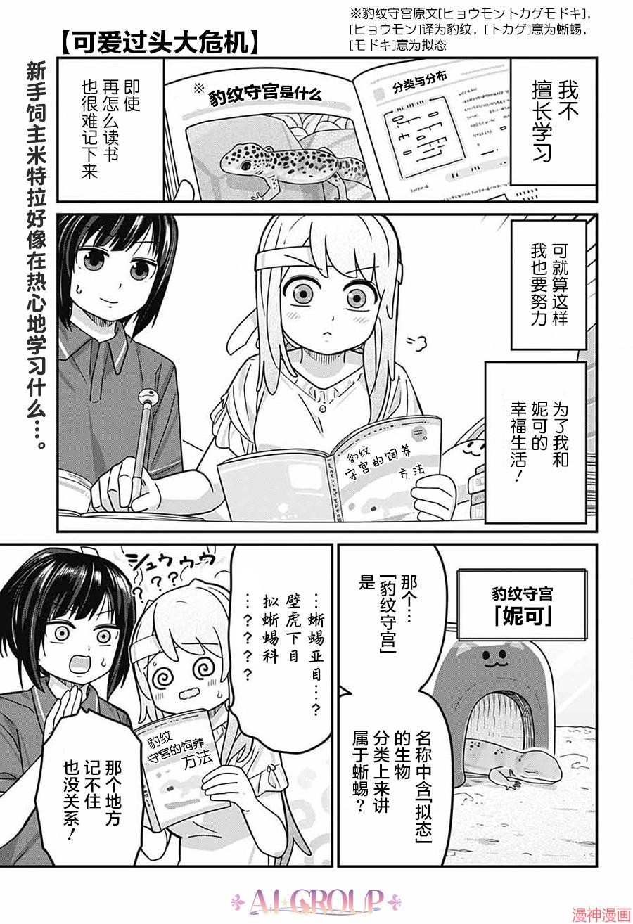 可爱过头大危机~漫画,第115话1图