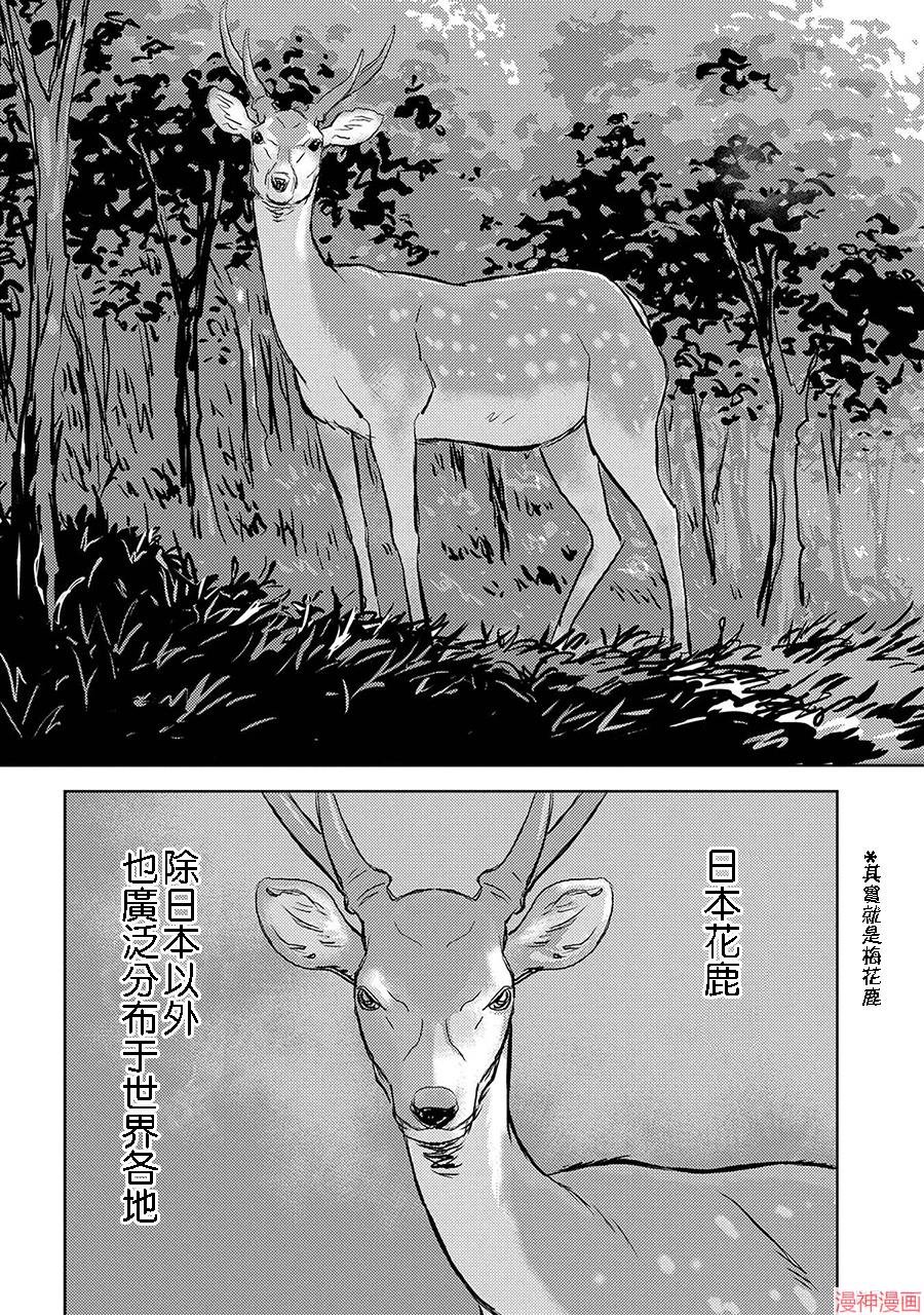 战国小町苦劳谭-农耕戏画~漫画,第03幕 狩猎4图