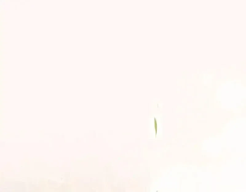 某个继母的童话~漫画,第153话 谎言1图