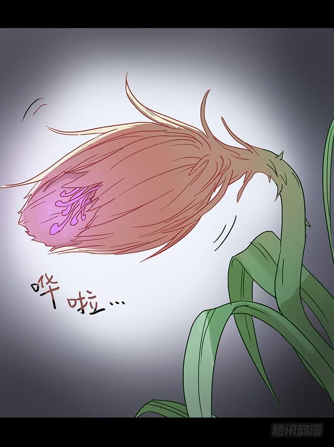 绝对零度~漫画,美人花3图