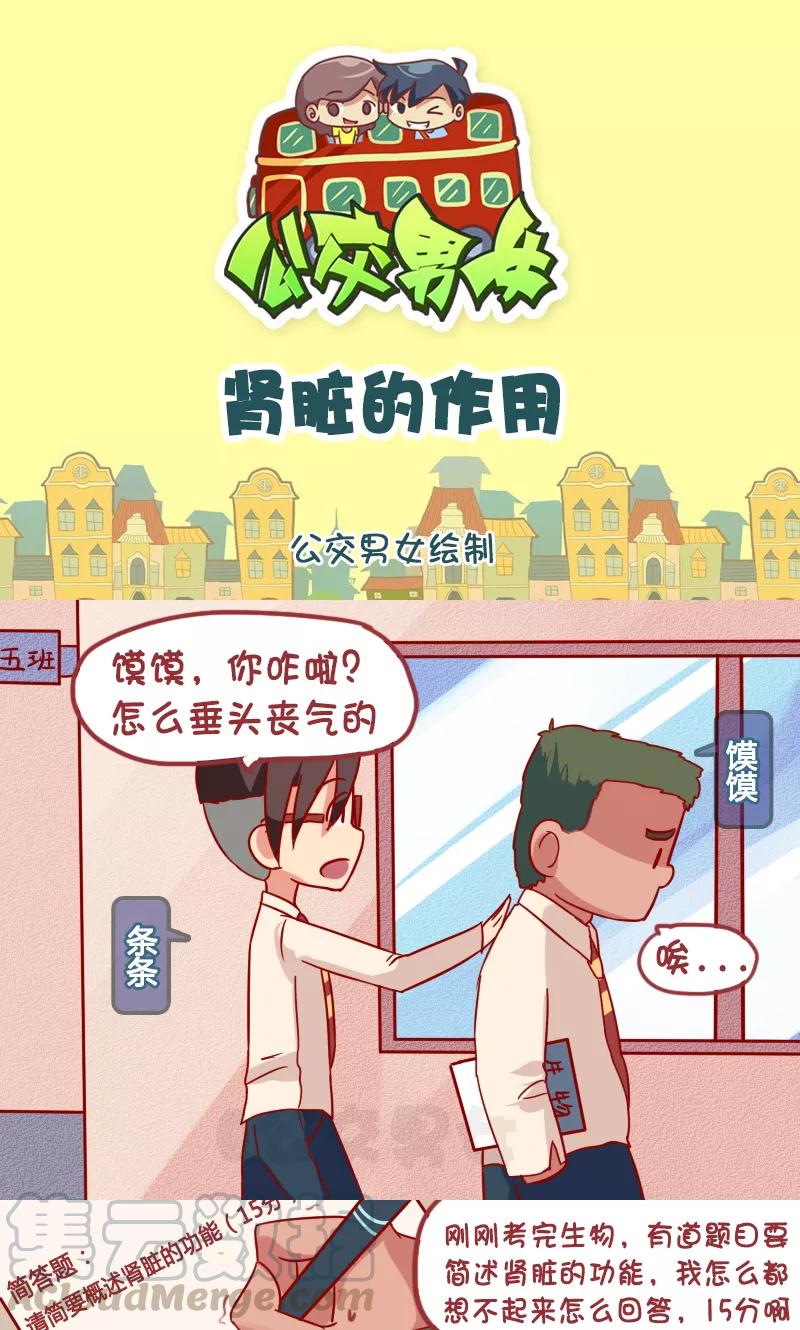 第1026话 肾脏的作用0