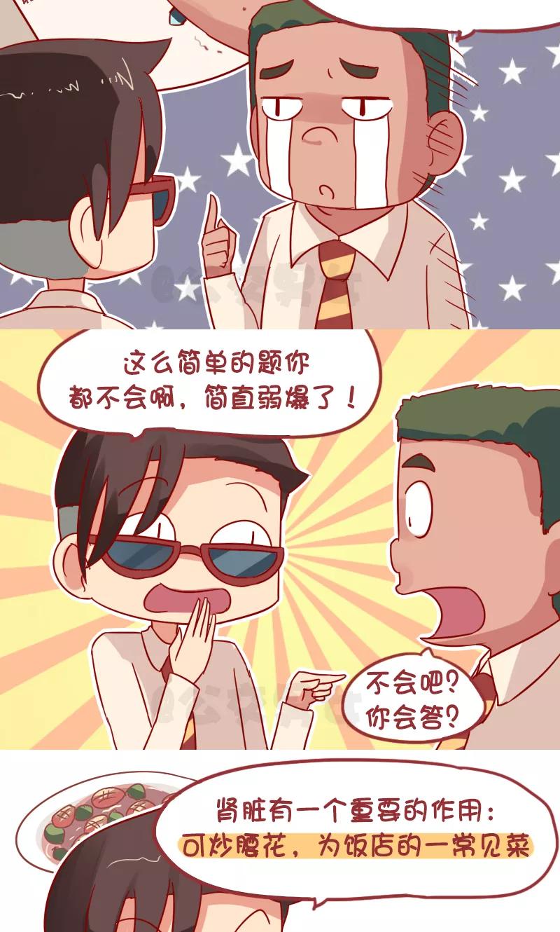 第1026话 肾脏的作用1