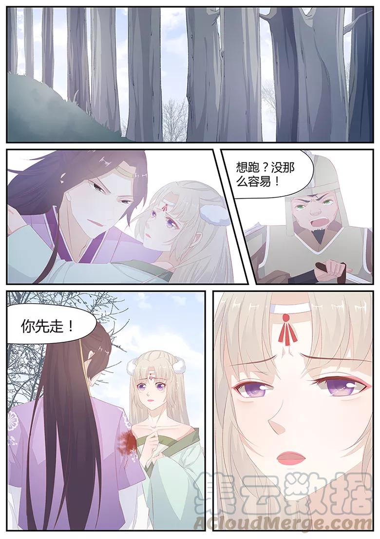 第13话 狐威初显0