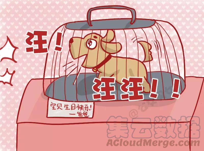 第1138话 生日惊喜2