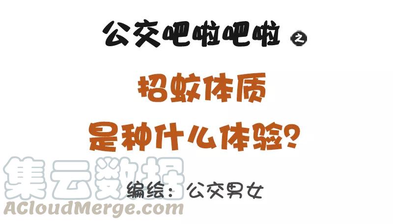 第1146话 招蚊体质什么体验0