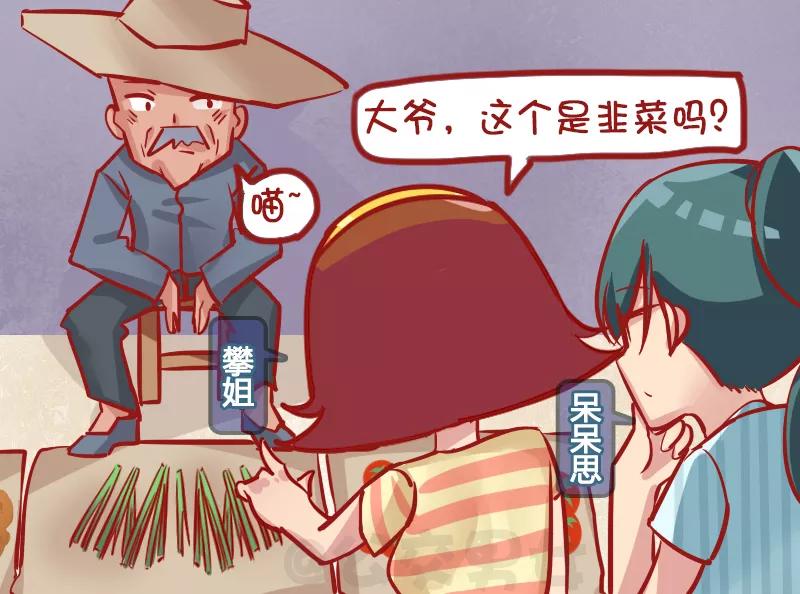 第1139话 韭菜猫1