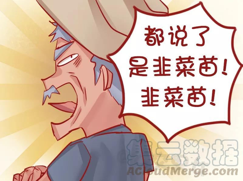 第1139话 韭菜猫4